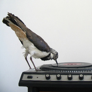 nashervinyl-thumb-66716