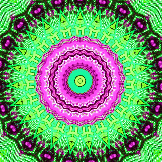 annamika-thumb-69032