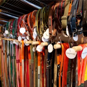 wagwearleashes-1-72435