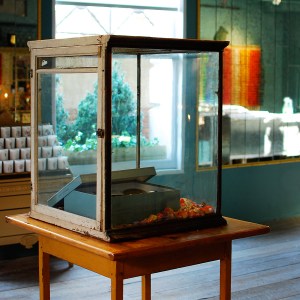 ciretrudon-thumb-71870