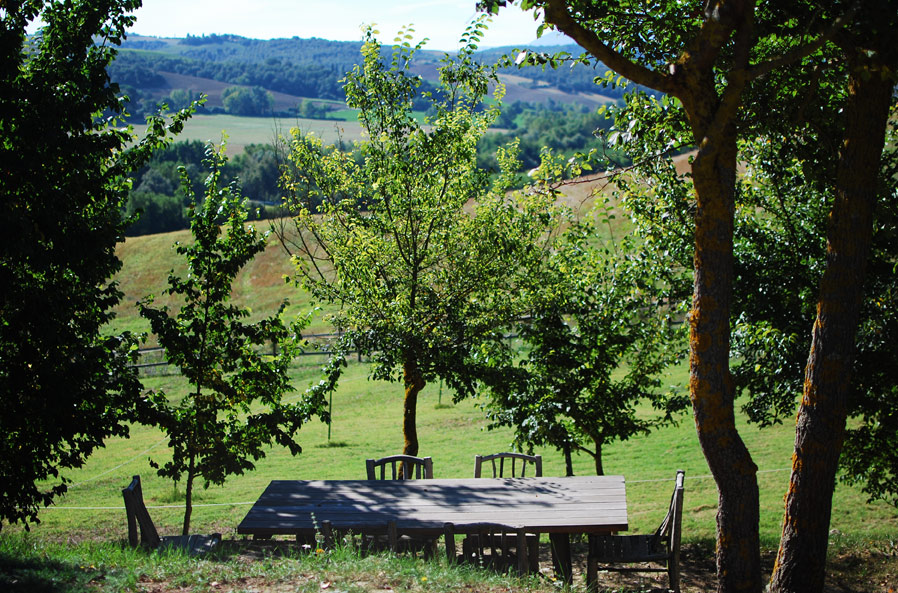 pieve-table.jpg