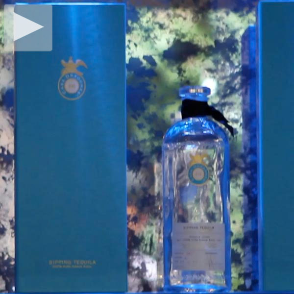 dragones-new-thumb-73115