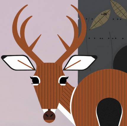 peekaboo-thumb-73143