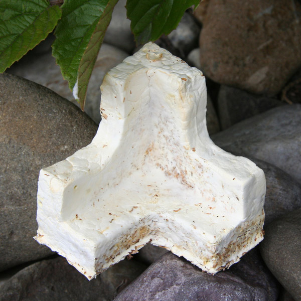 ecocradle-thumb1-74207