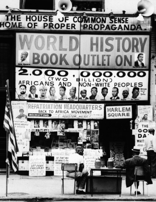 harlem-nowhere6-74498