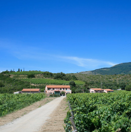 cecilia-wine-thumb-77837