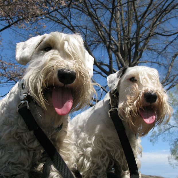 otis-logan-treat-th-77017