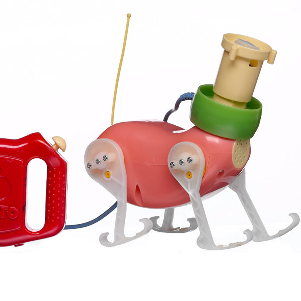 curiositiesthumb-1-80045