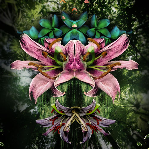 sensorium-thumb1-83058