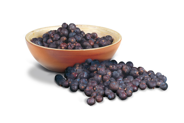 Bombay_Advert_Berries.jpg