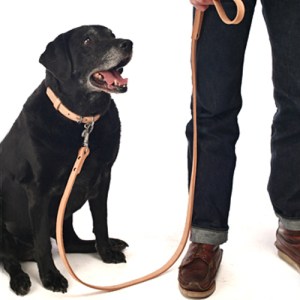 contextleash-84150