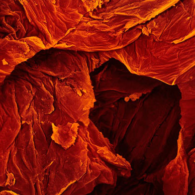 terra_cibusthumb-83703