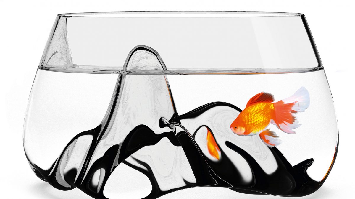 Fishscape Fish Bowl - COOL HUNTING®