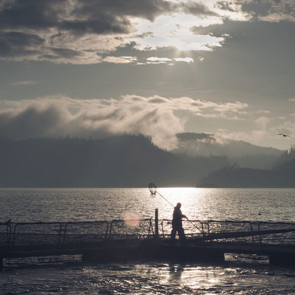 skuna-salmon-thumb-85269