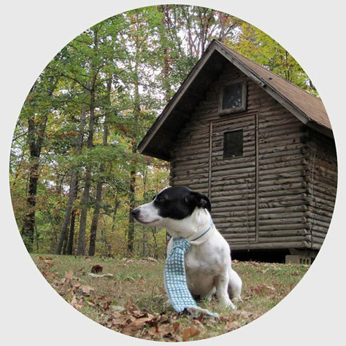 gent-arthur-thumb1-85132