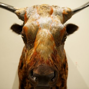 miami-craft-thumb-84910