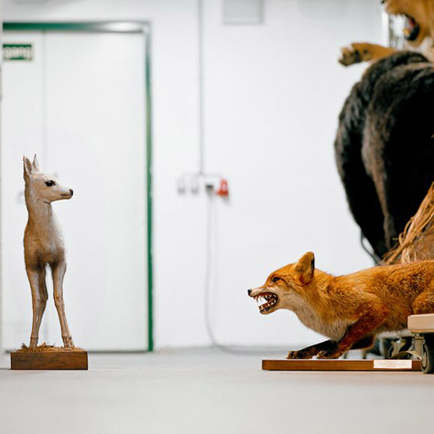 photola_thumb1-86375