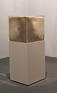 blind-cut-gal4-86250