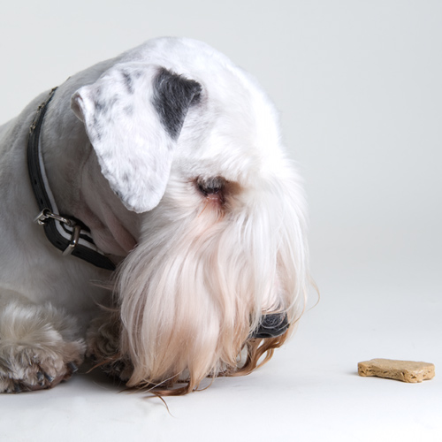 bocces-bakery-thumb-87823