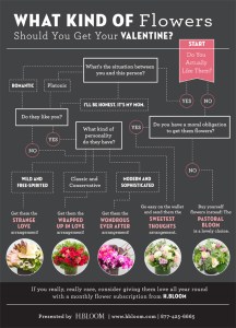 h_bloom_infographic-87273