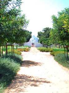 babylonstoren7-88543