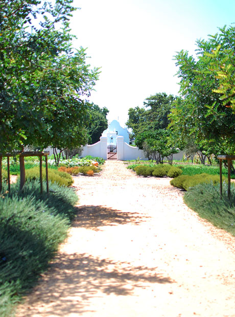 Babylonstoren7.jpg