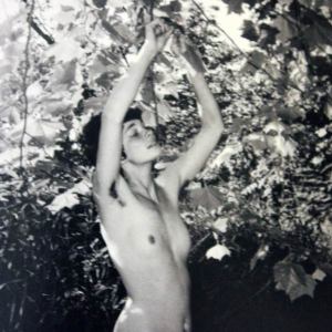 rewilding_thumb-88411