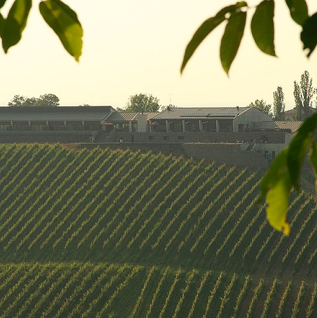 aiselections-thumb-88911