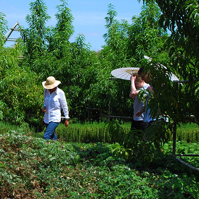 babylonstoren-thumb1-88540
