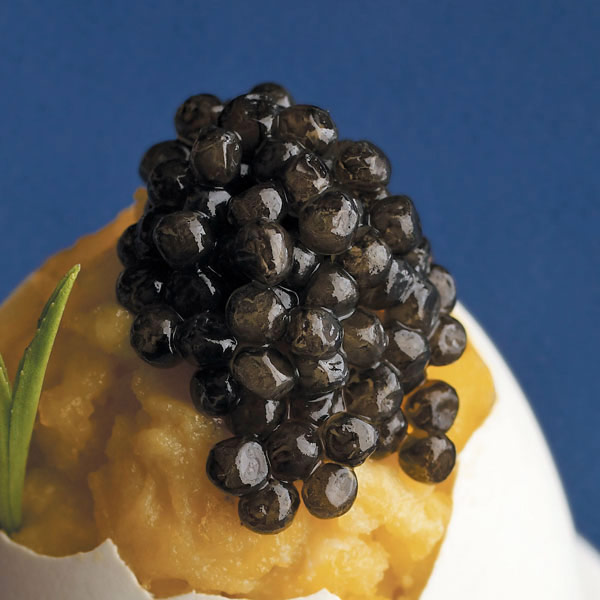 caviar-2.jpg
