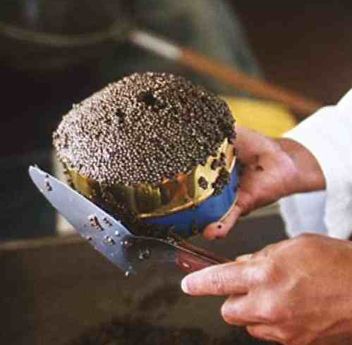 caviar-6-fillng-tin.jpg