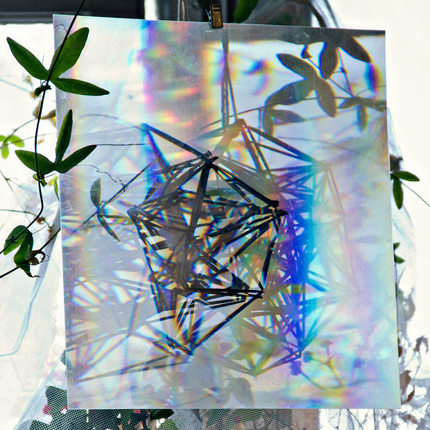 panter-white-thumb-89368