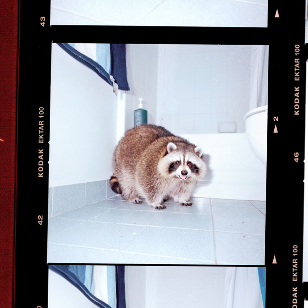 new-research-thumbs-89906