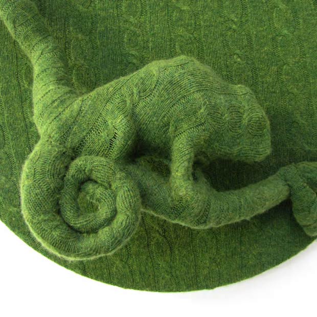 rachel-denny-thumb1-89932