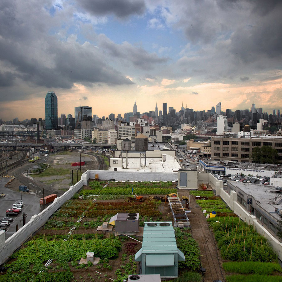 urban-farming-thumb-90396
