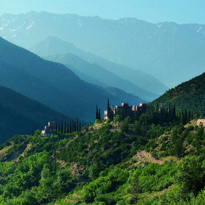 common-pursuit-thumb-91029