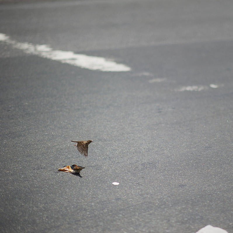 mayday-playlist-thumb-90931