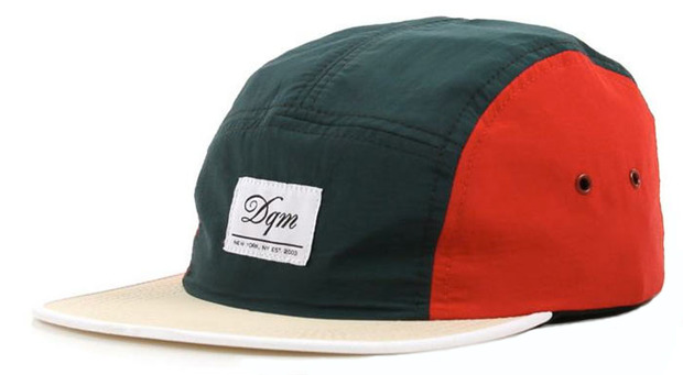 DQM-Camp-5panel.jpg