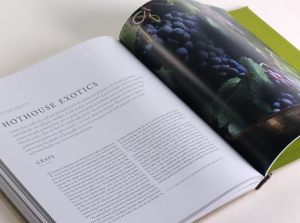 heirloom-fruits-vegetables-gal3-93018