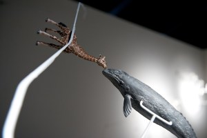 basel-foulsham-93243