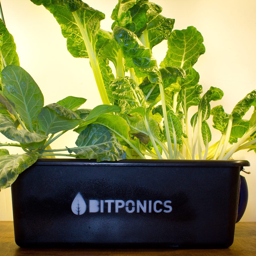 bitponics-thumb-92546