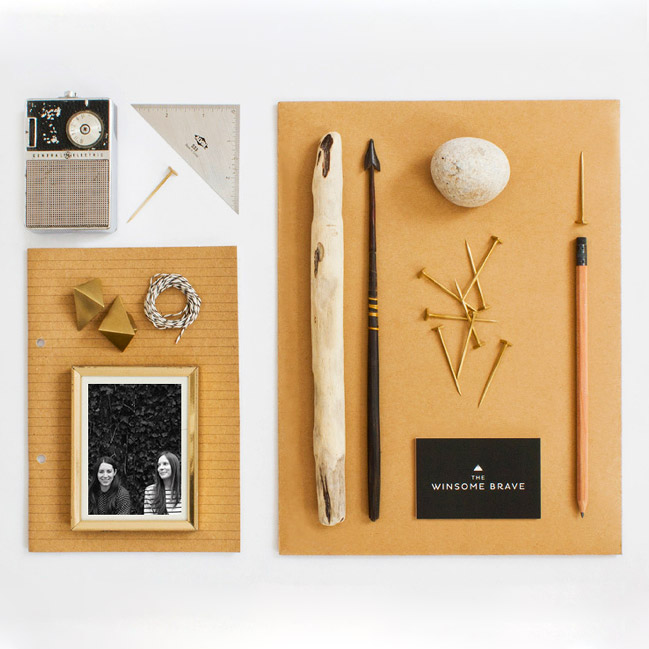 winsome-brave-thumb-92596