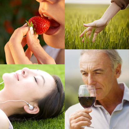 ba_ch_images_5senses_thumb-94110