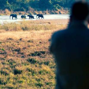 ch_safari_thumb-95917