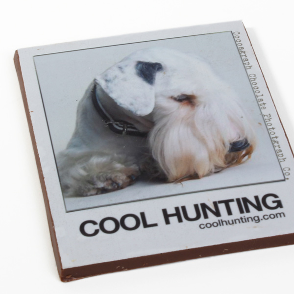 cocoagraph-thumb-95071