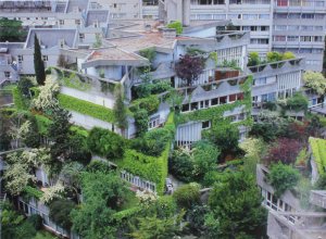 concrete-japan-96194