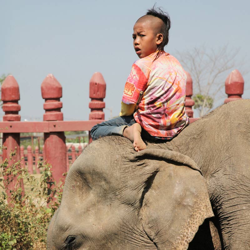 i-am-eleven-th1-95277