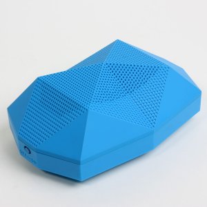 turtle-shell-gg-100305