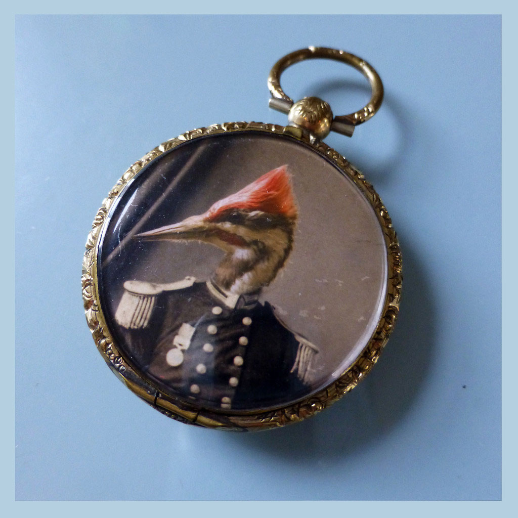 charlottecory-100257