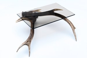 eagle_wolf_orca_1-101461